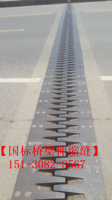 路面伸縮縫 良品*標(biāo)公路鐵路橋梁伸縮縫裝置