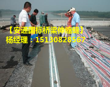 減震緩沖伸縮縫 良品新型高性能大伸縮量橋梁伸縮縫3