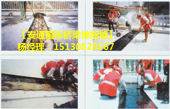 TST橋梁伸縮縫 瀝青填充式橋梁伸縮縫 無縫伸縮縫廠家3