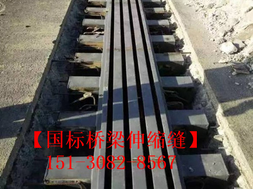 橋梁伸縮縫架構(gòu) 集團(tuán)橋梁伸縮縫合理的長度2
