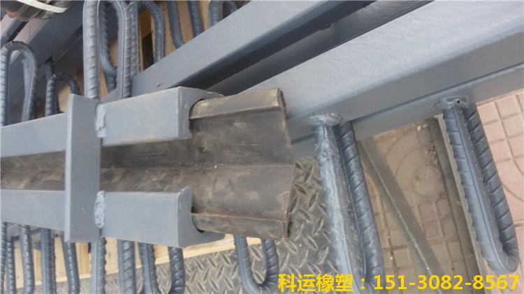 鋼板梳齒型橋梁伸縮縫裝置廠家直銷(xiāo) 生產(chǎn)制造**2