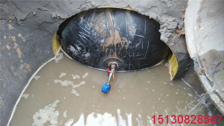 管道堵水氣囊-*際管道堵水氣囊閉水氣囊堵漏氣囊****1